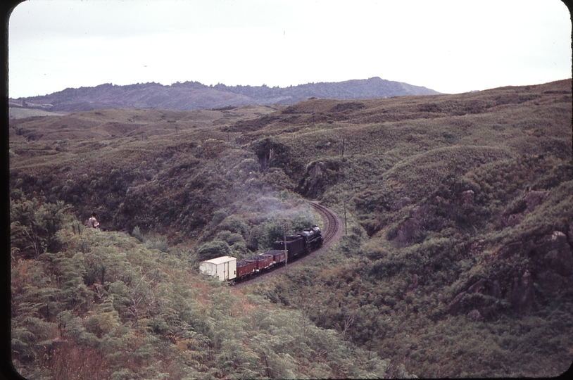 104015: Waimiha Down Goods Ka 953