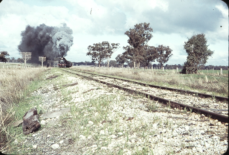 104848: Mile 128.5 Yarrawonga Line Down ARE Special D3 639