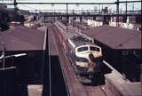 112284: North Melbourne 12:15pm Geelong Passenger B 63