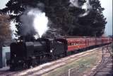 112470: Allendale Down ARE-ARHS Special K 184
