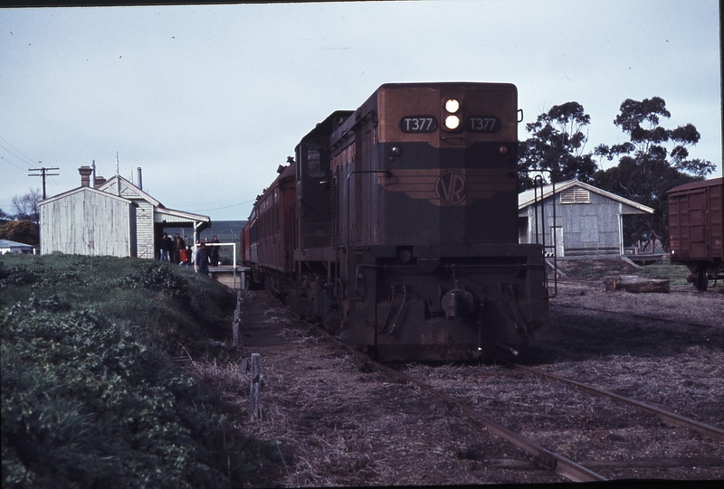 113422: Merino Down AREA Special T 377