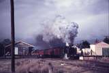113833: Bonnie Doon Up ARE Special K 153
