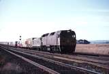 114993: Donnybrook Loop Up Goods 42217