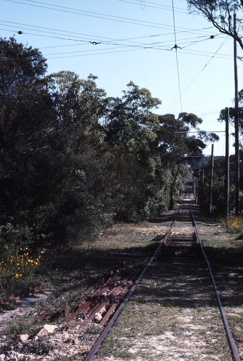117912: South Pacific Electric Railway Sutherland Looking towards Loftus