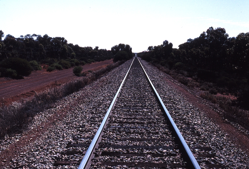 121685: km 594.5 Stewart - Bonnie Vale Looking West