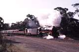 122583: Dunolly up side km 208 8192 Up Steamrail Special R 761 T 395