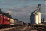 126034: Robinvale SteamRail Special
