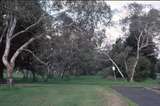 126518: Mont Park looking towards Melbourne from Melbourne end of yard