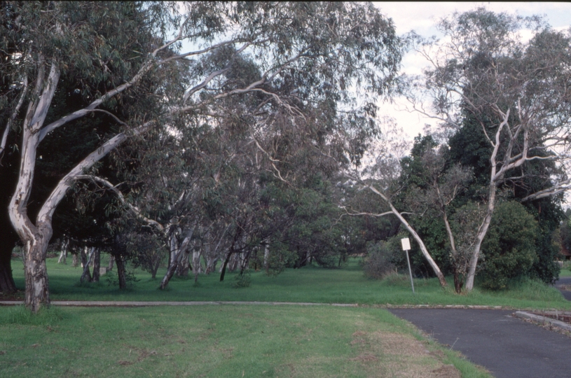 126518: Mont Park looking towards Melbourne from Melbourne end of yard