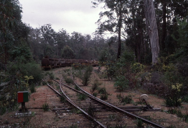 129106: Lambert looking towards Manjimup from South end