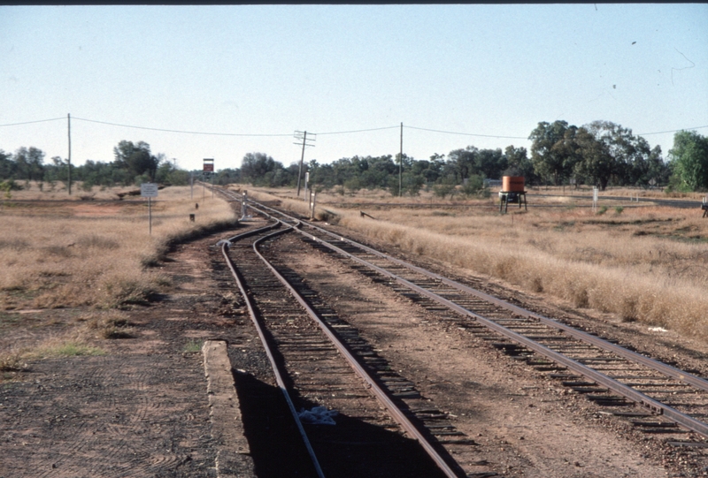 129814: Wyandra looking North from goods shed