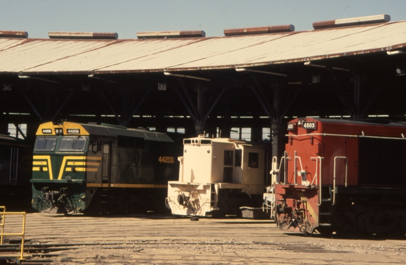 130925: Junee Locomotive Depot 44206 838 4503