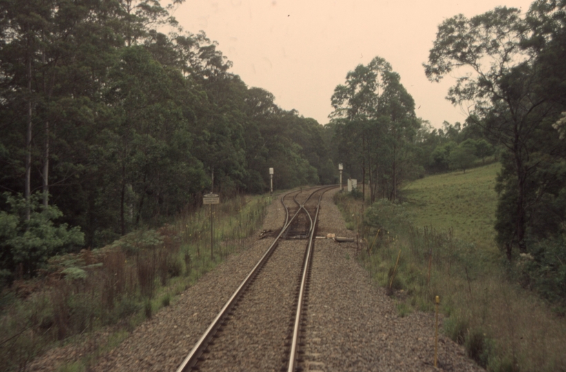 132494: Craven North Switch looking towards Maitland
