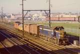 133813: Sunshine Down Goods H 2 -1