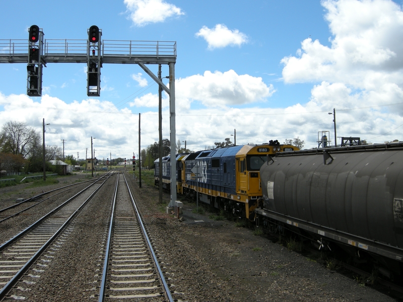 135763: Cootamundra Up Goods 8130 8183